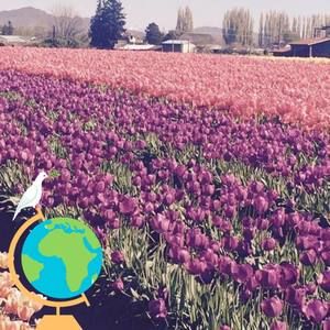 Meet your Posher, Edie